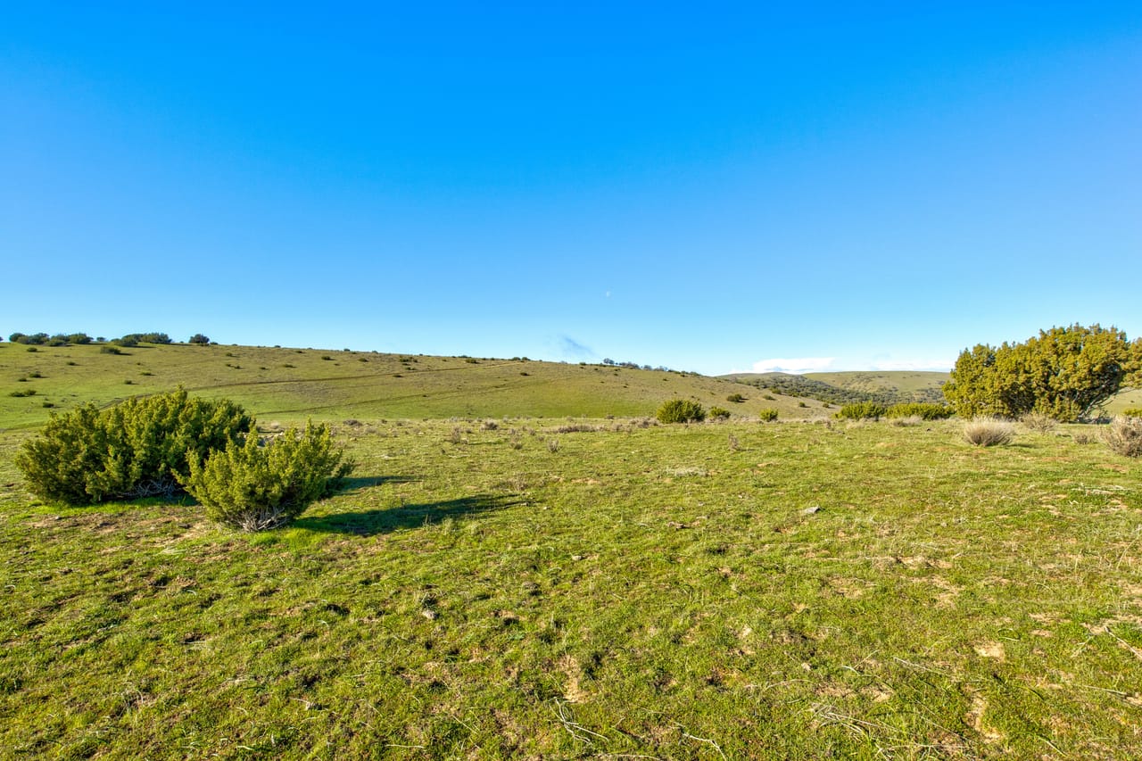 Listing Image 26
