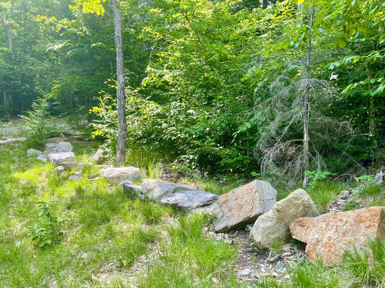 Listing Image 30
