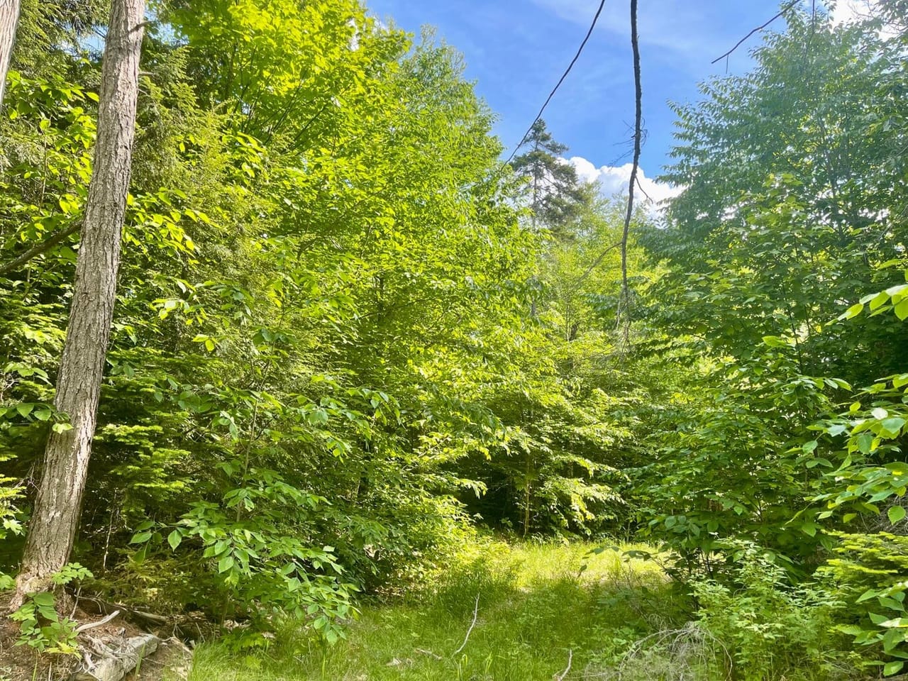 Listing Image 32