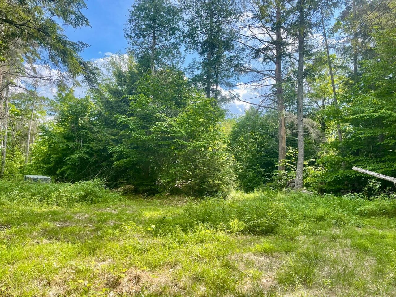 Listing Image 39