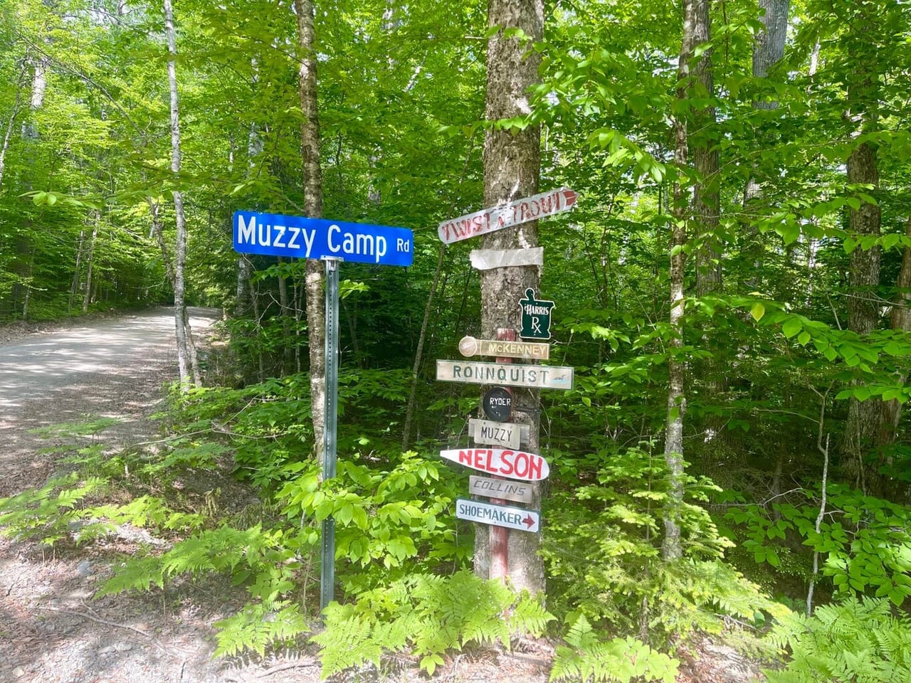 Listing Image 6