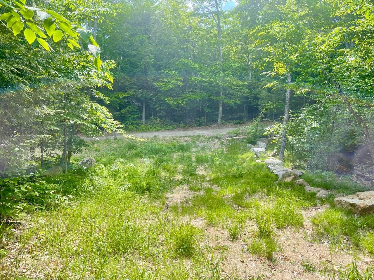 Listing Image 17