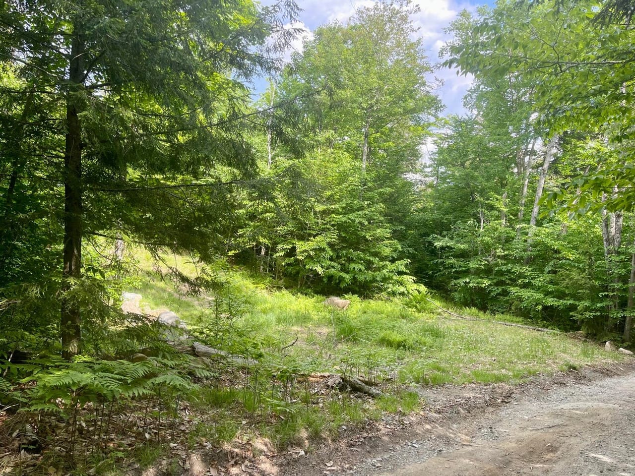 Listing Image 27
