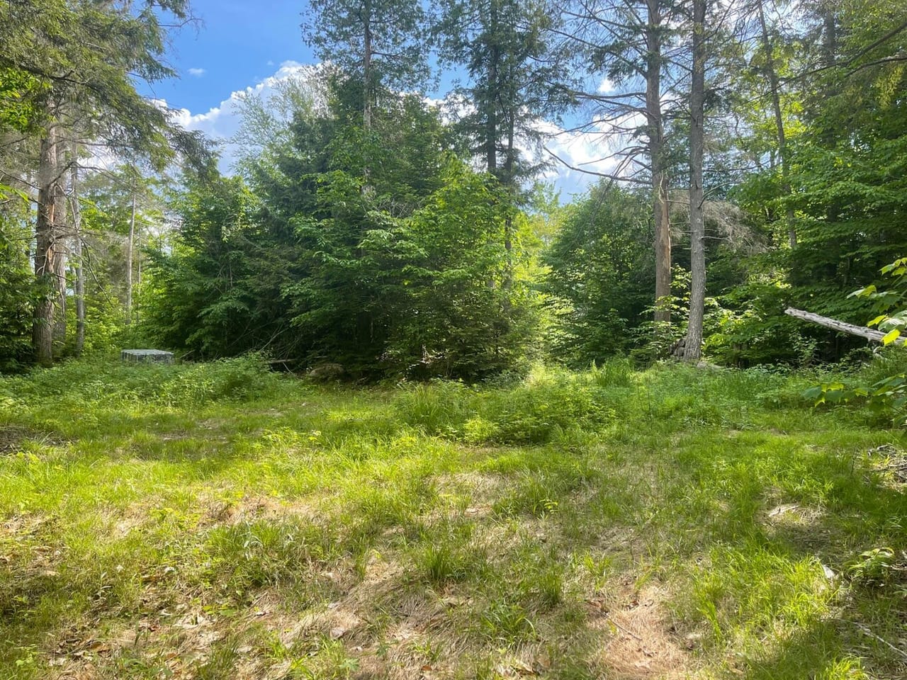 Listing Image 44