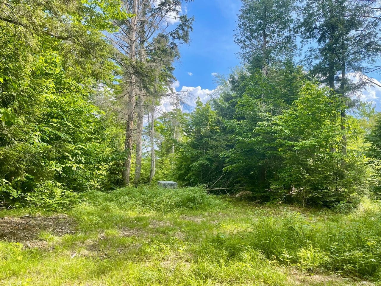 Listing Image 46