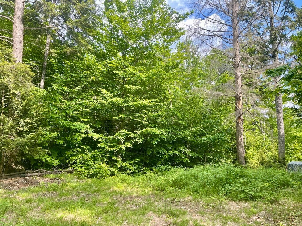 Listing Image 47