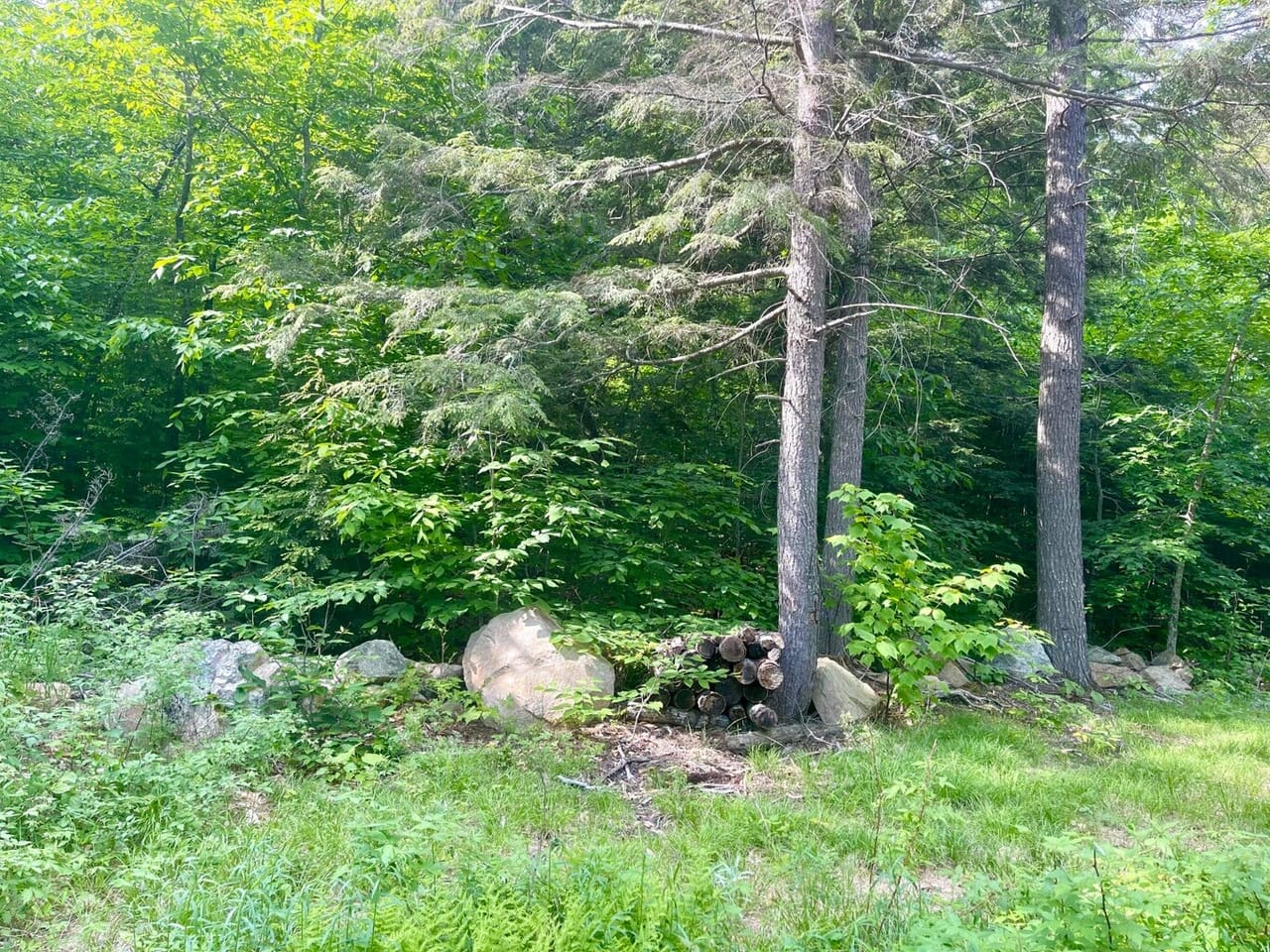 Listing Image 48