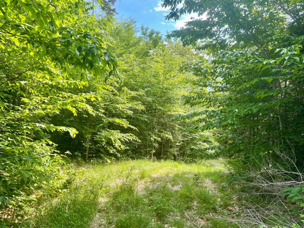 Listing Image 49
