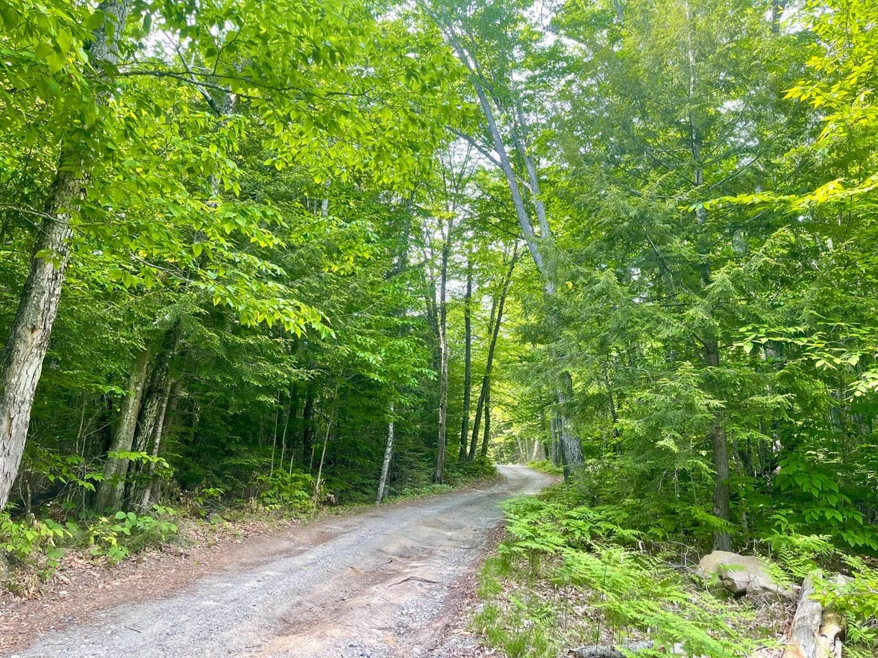 Listing Image 51