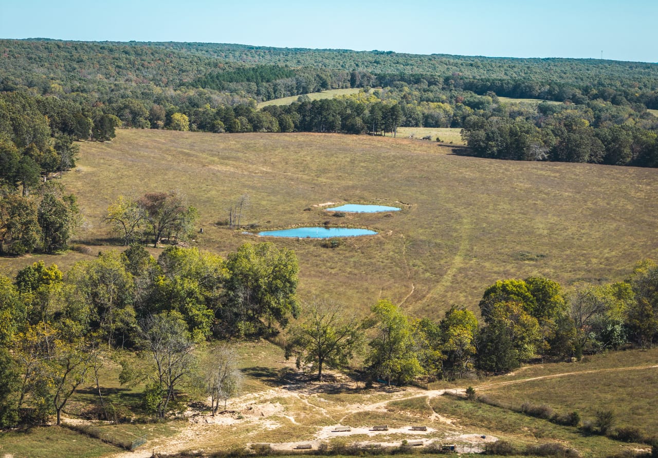 Listing Image 49