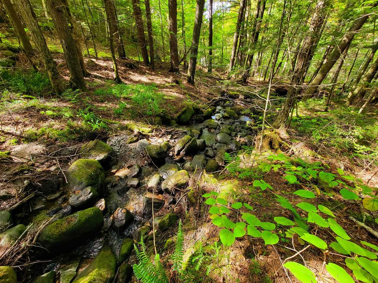 Listing Image 55