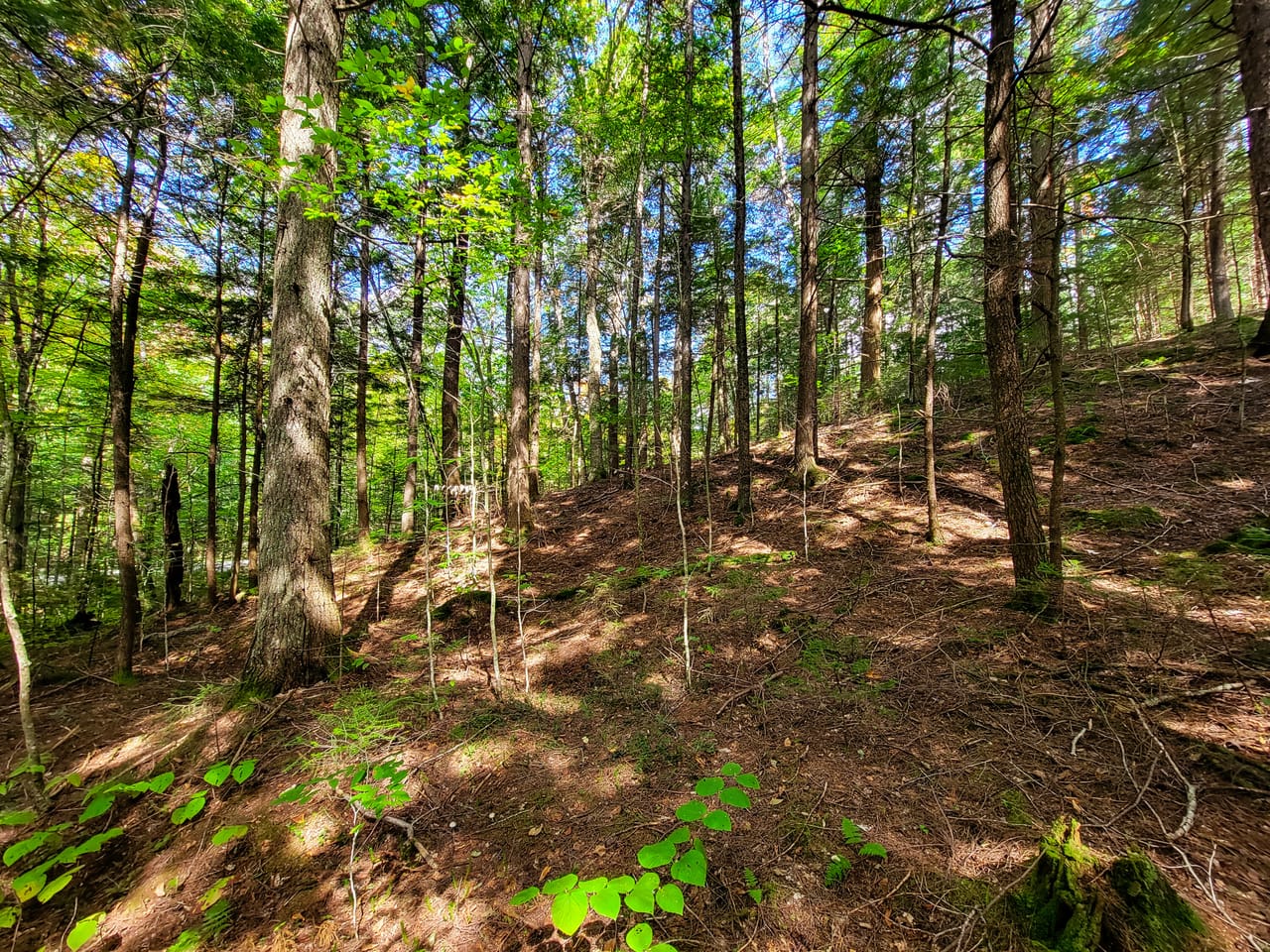 Listing Image 56