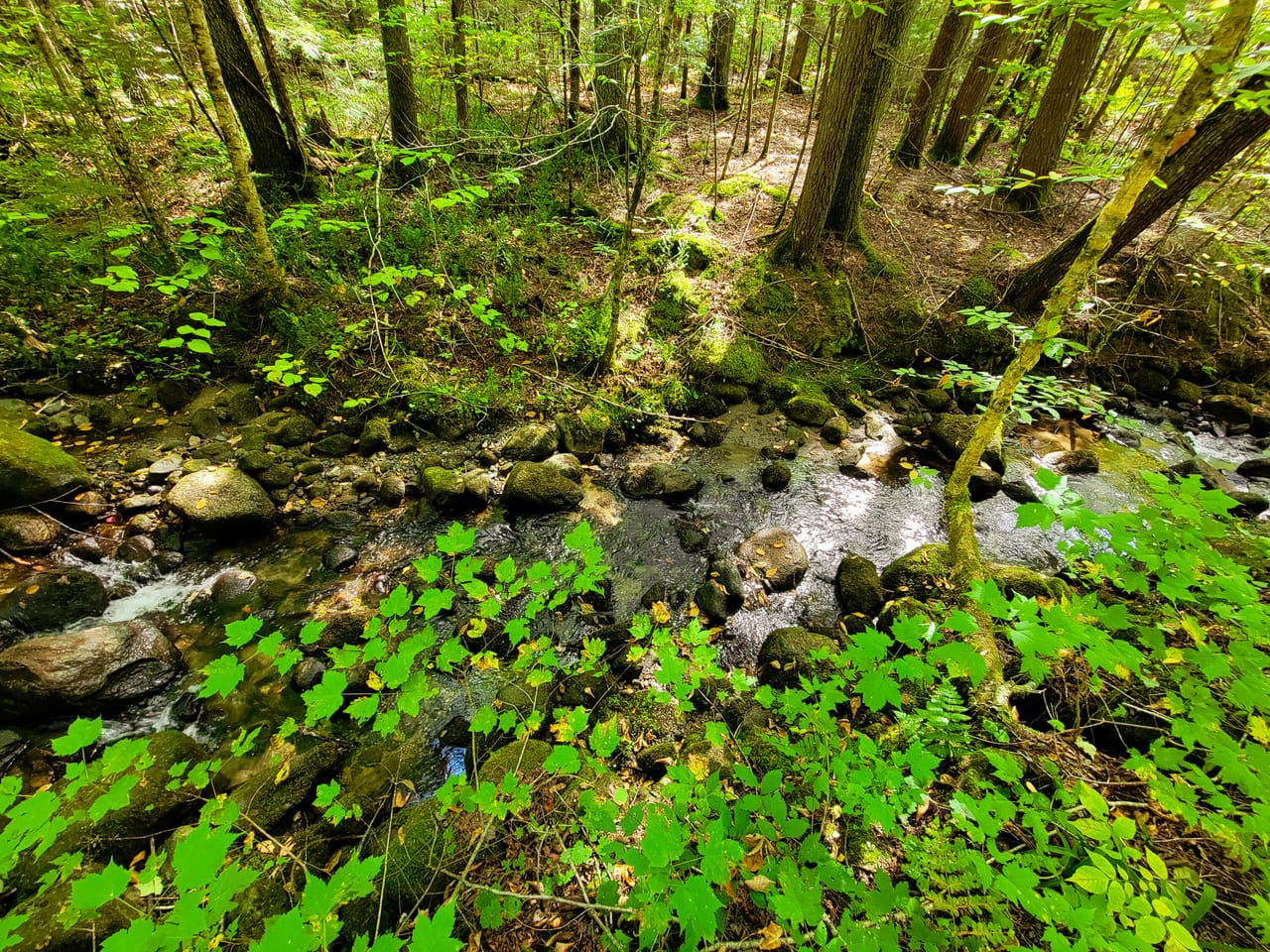 Listing Image 65