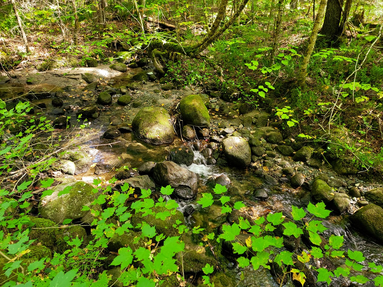 Listing Image 66