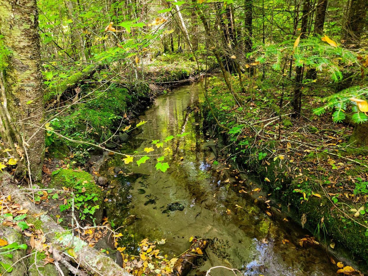 Listing Image 15