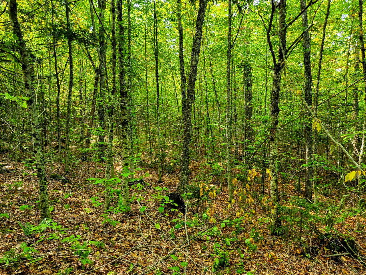 Listing Image 65