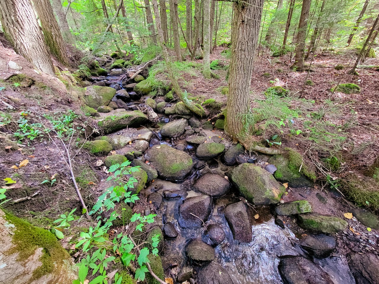 Listing Image 54