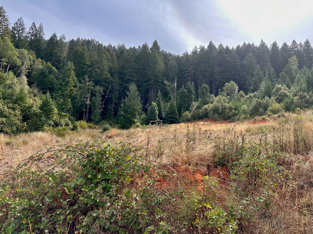 Listing Image 21