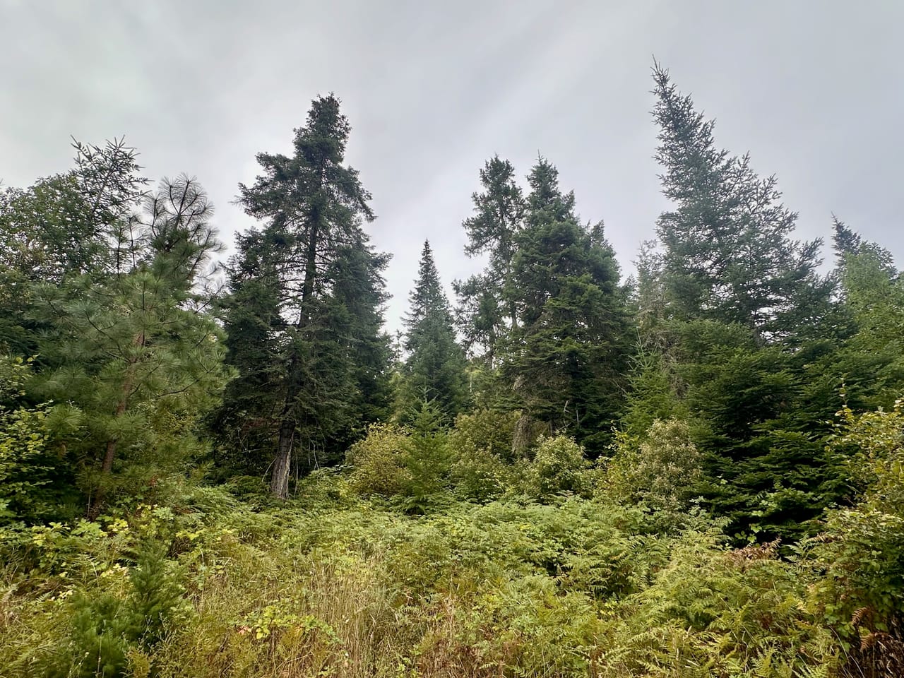 Listing Image 26