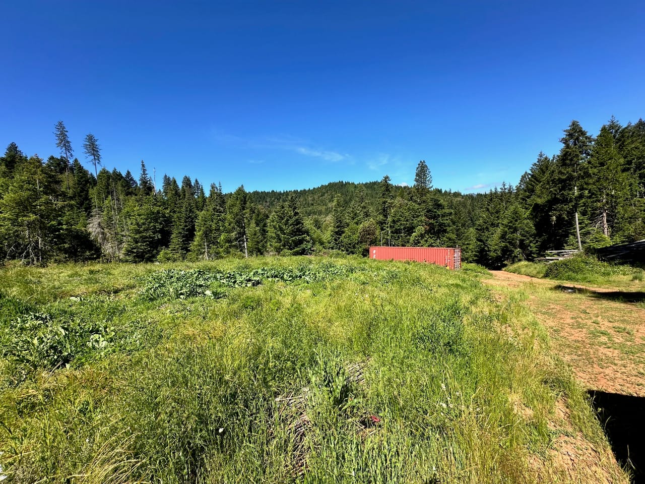 Listing Image 31