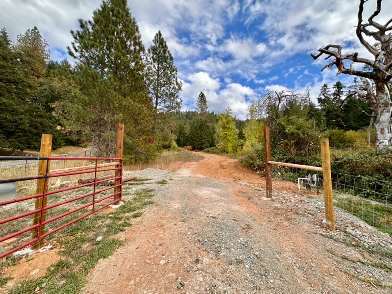 Listing Image 33