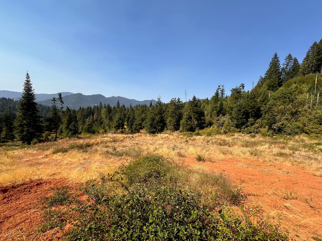 Listing Image 75