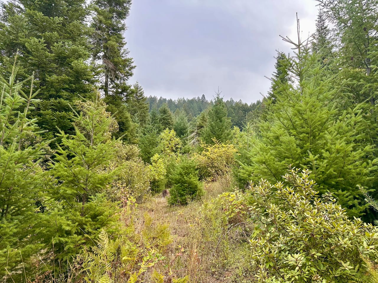 Listing Image 22