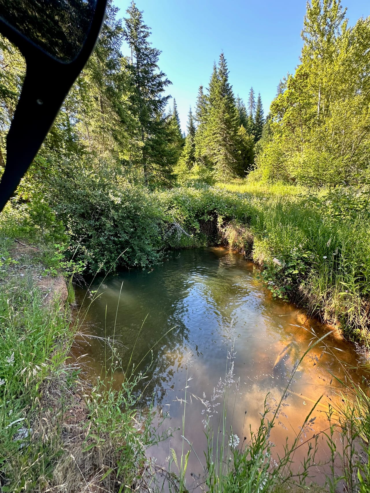 Listing Image 47
