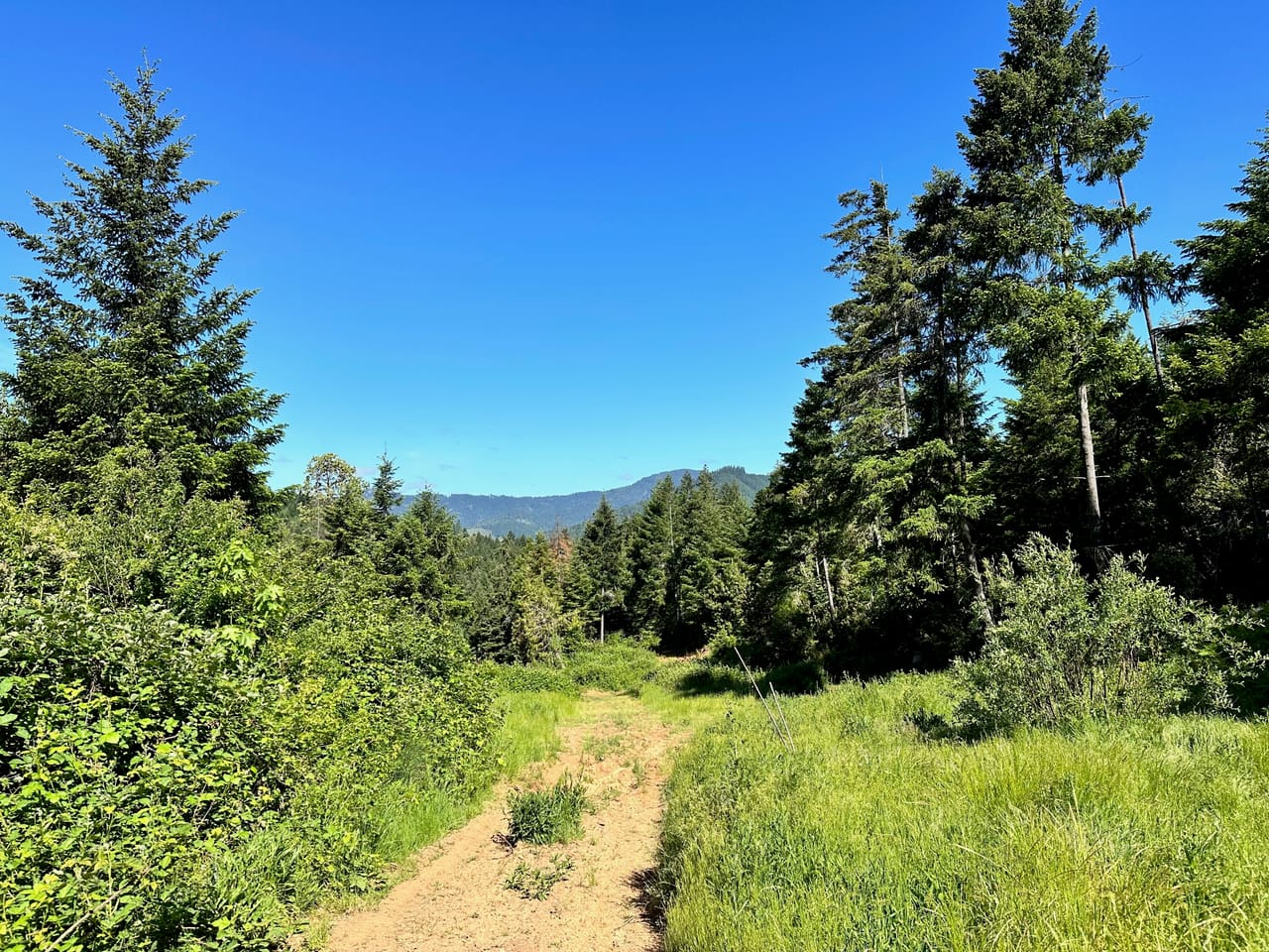 Listing Image 55