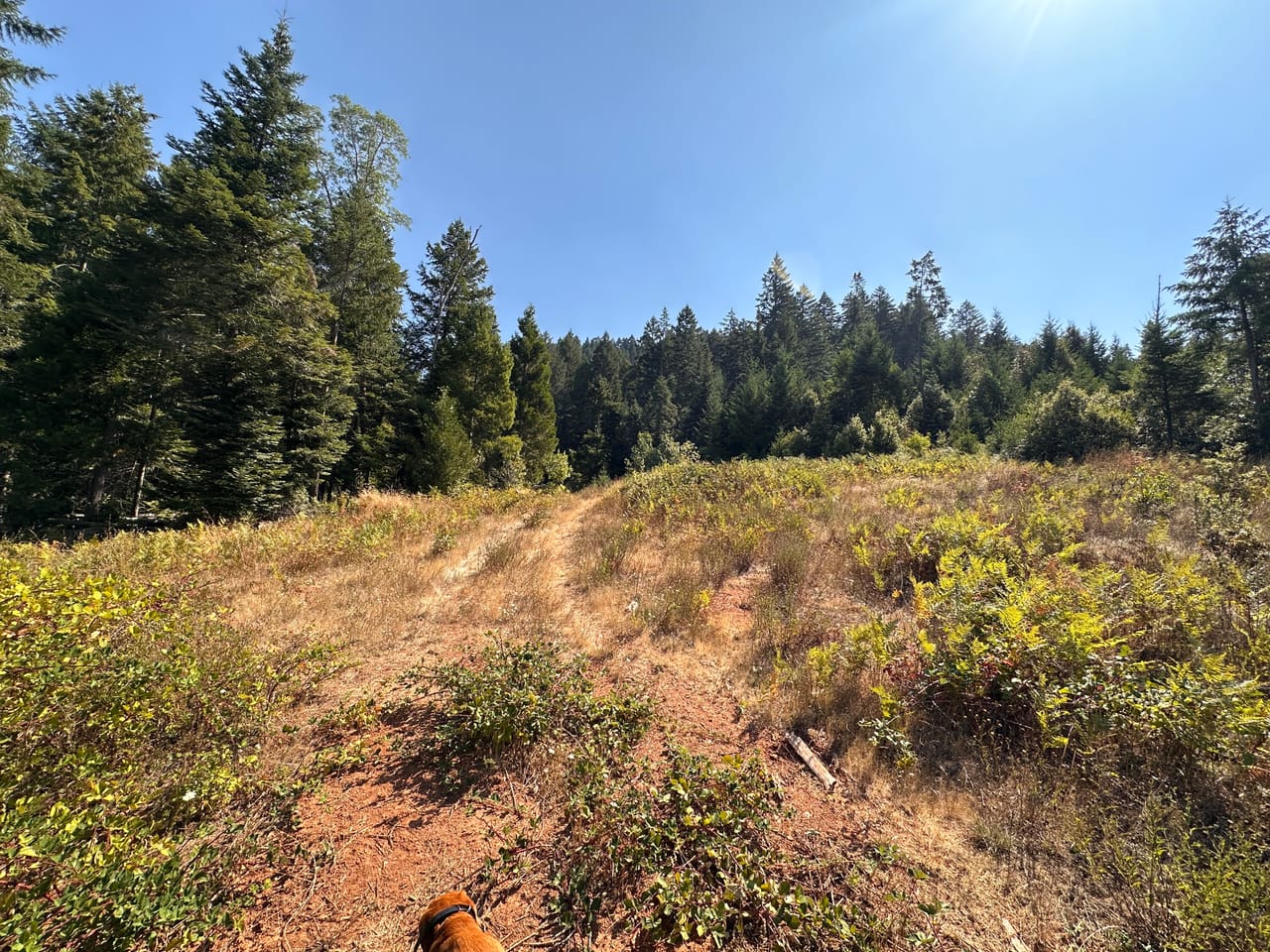 Listing Image 61