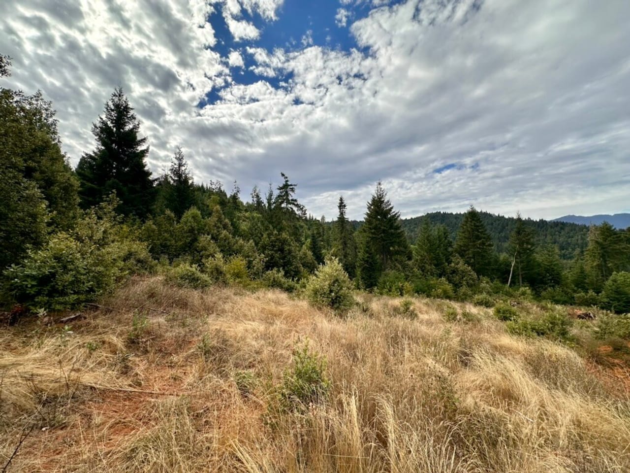Listing Image 68