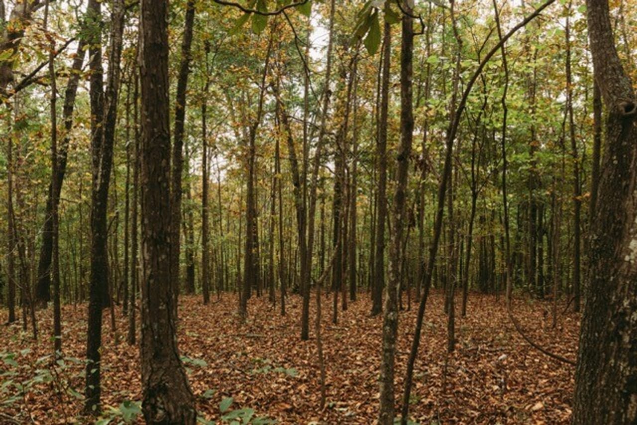 Listing Image 6