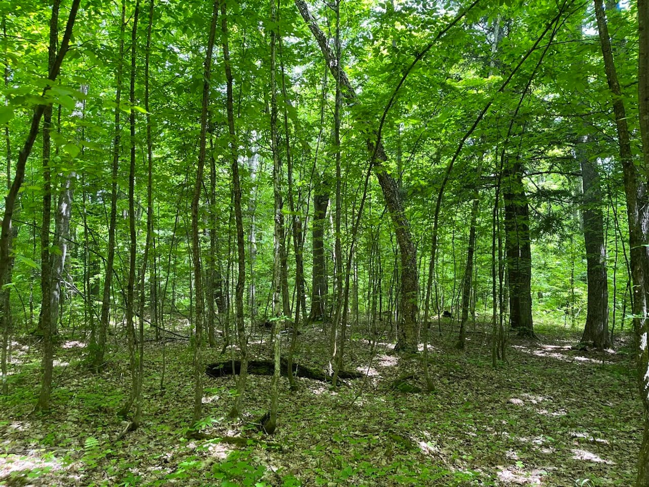 Listing Image 48