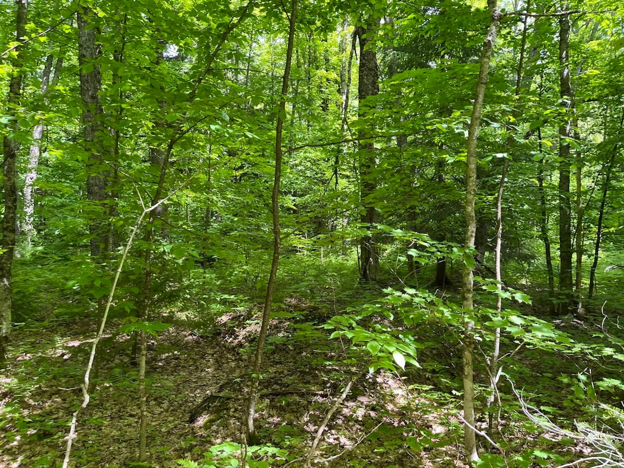 Listing Image 57