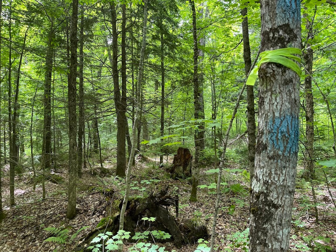 Listing Image 65
