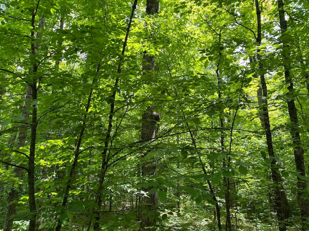 Listing Image 10