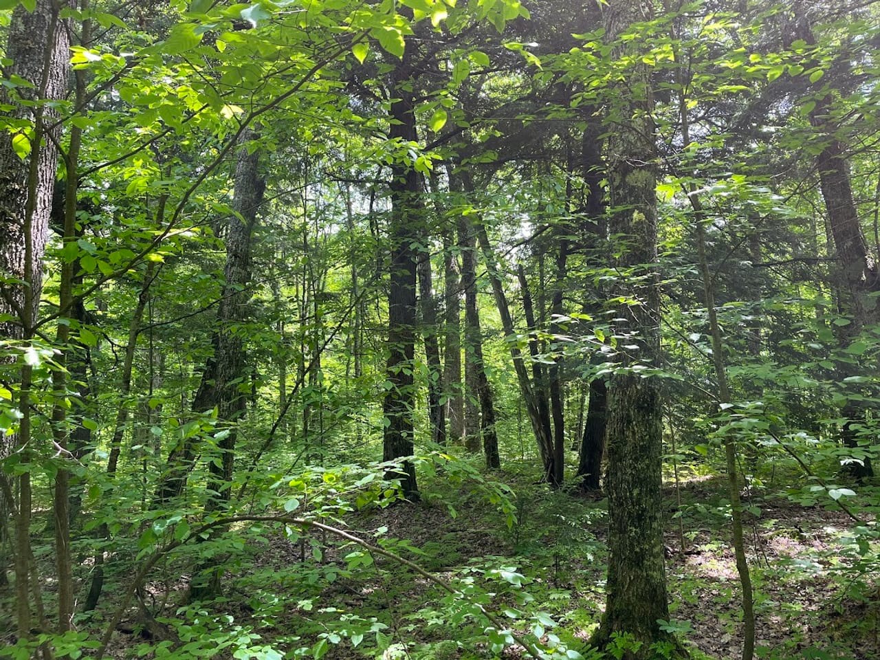Listing Image 17