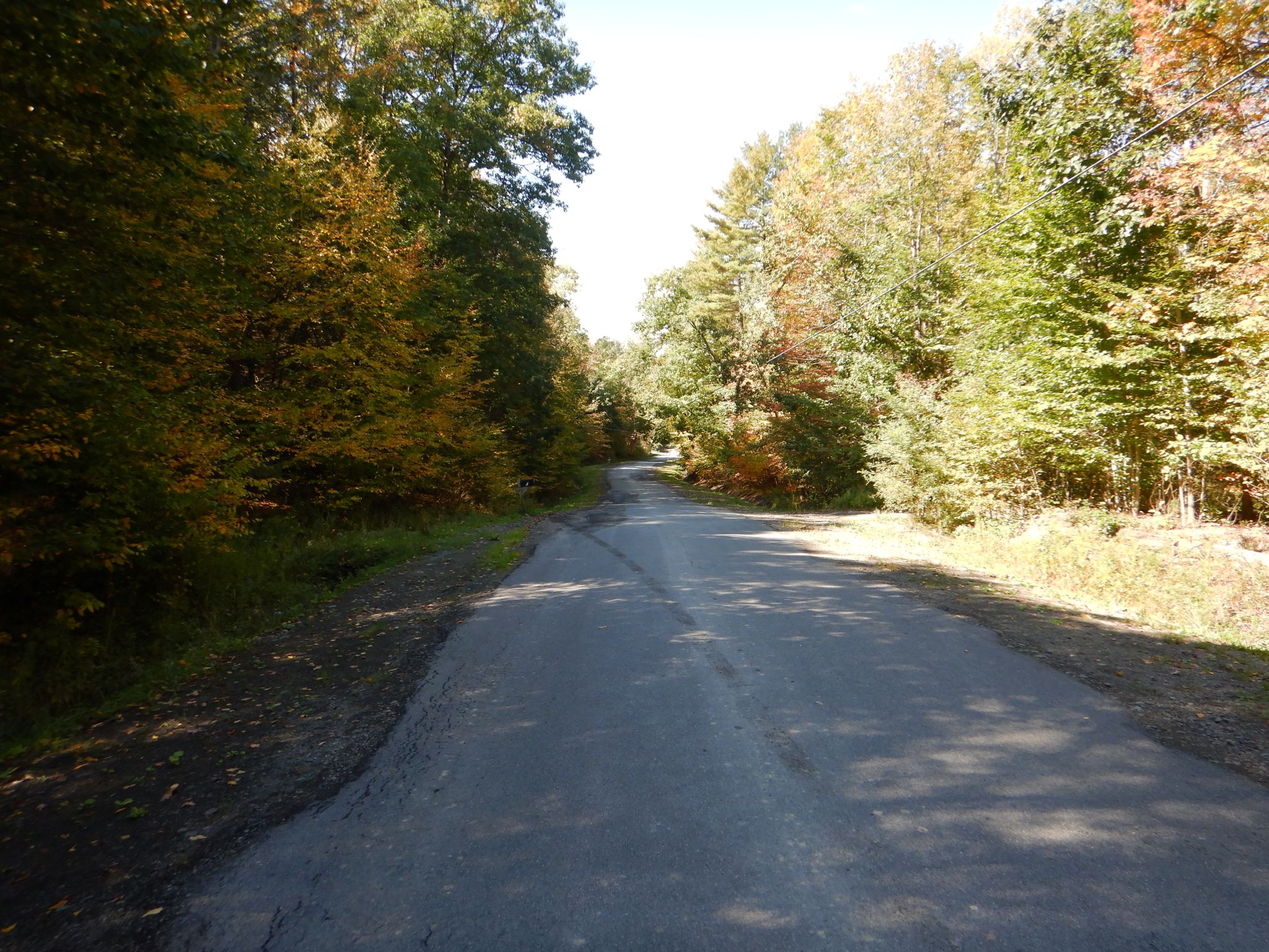 Listing Image 29