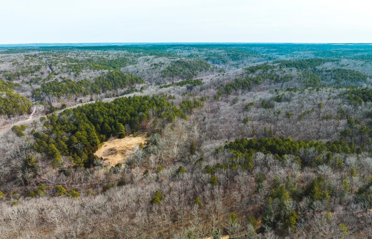 Listing Image 6