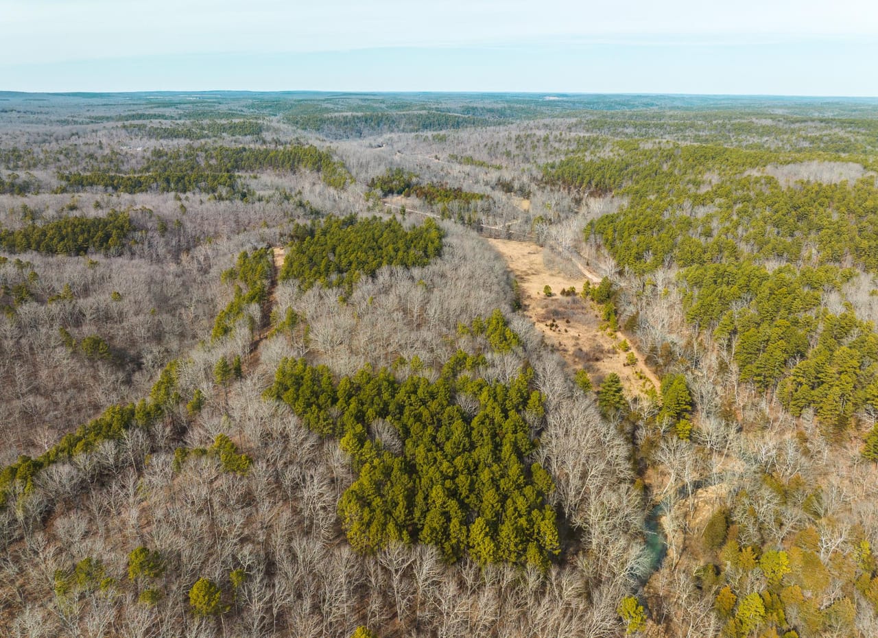 Listing Image 11