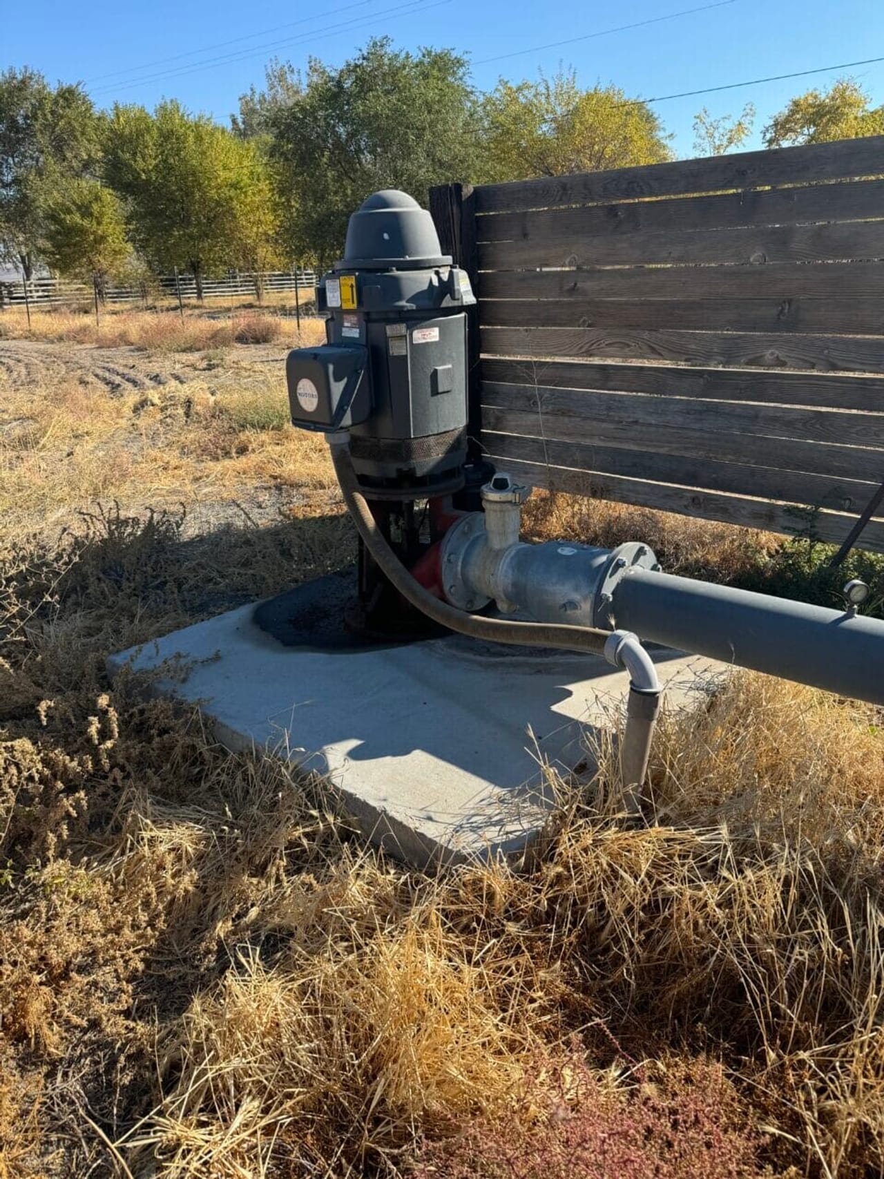 Listing Image 11