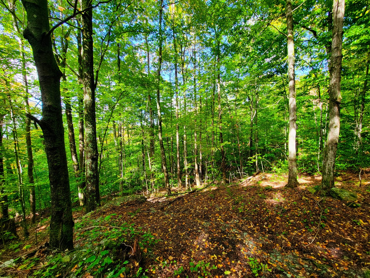 Listing Image 3
