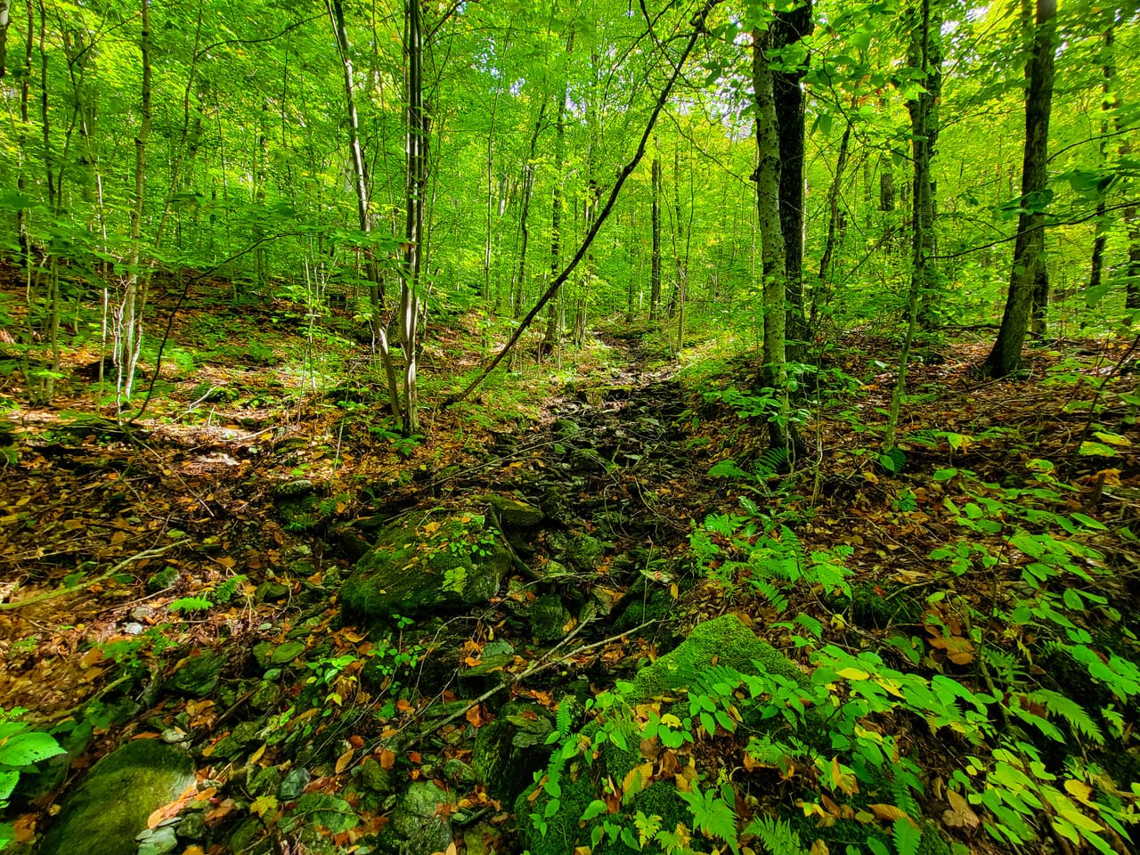 Listing Image 6