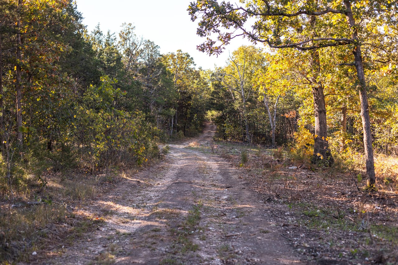 Listing Image 32