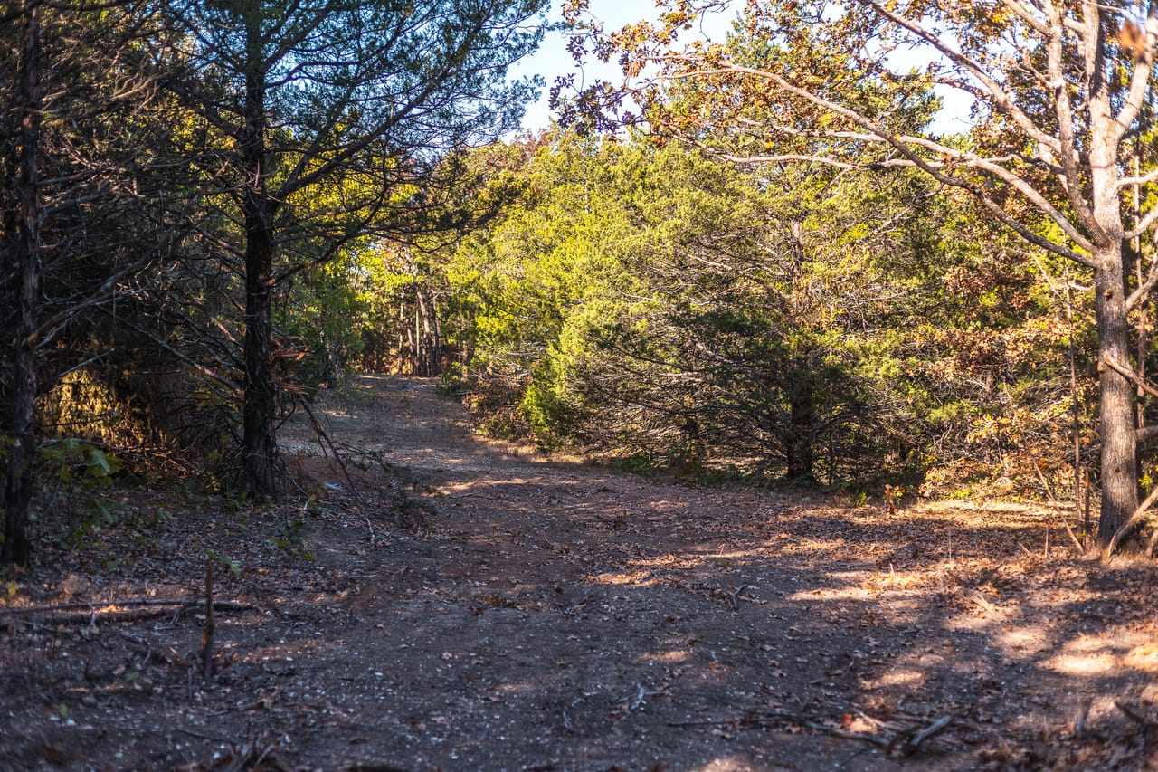 Listing Image 34