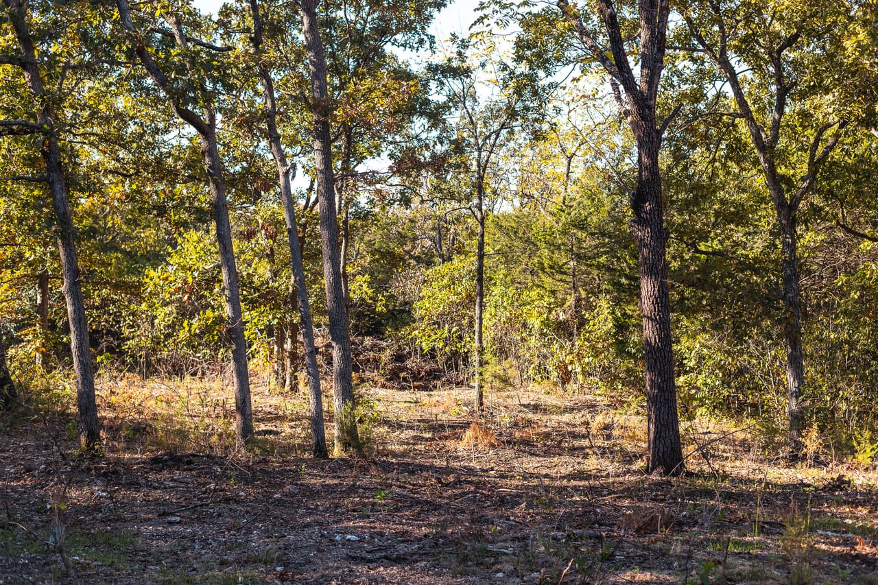 Listing Image 8