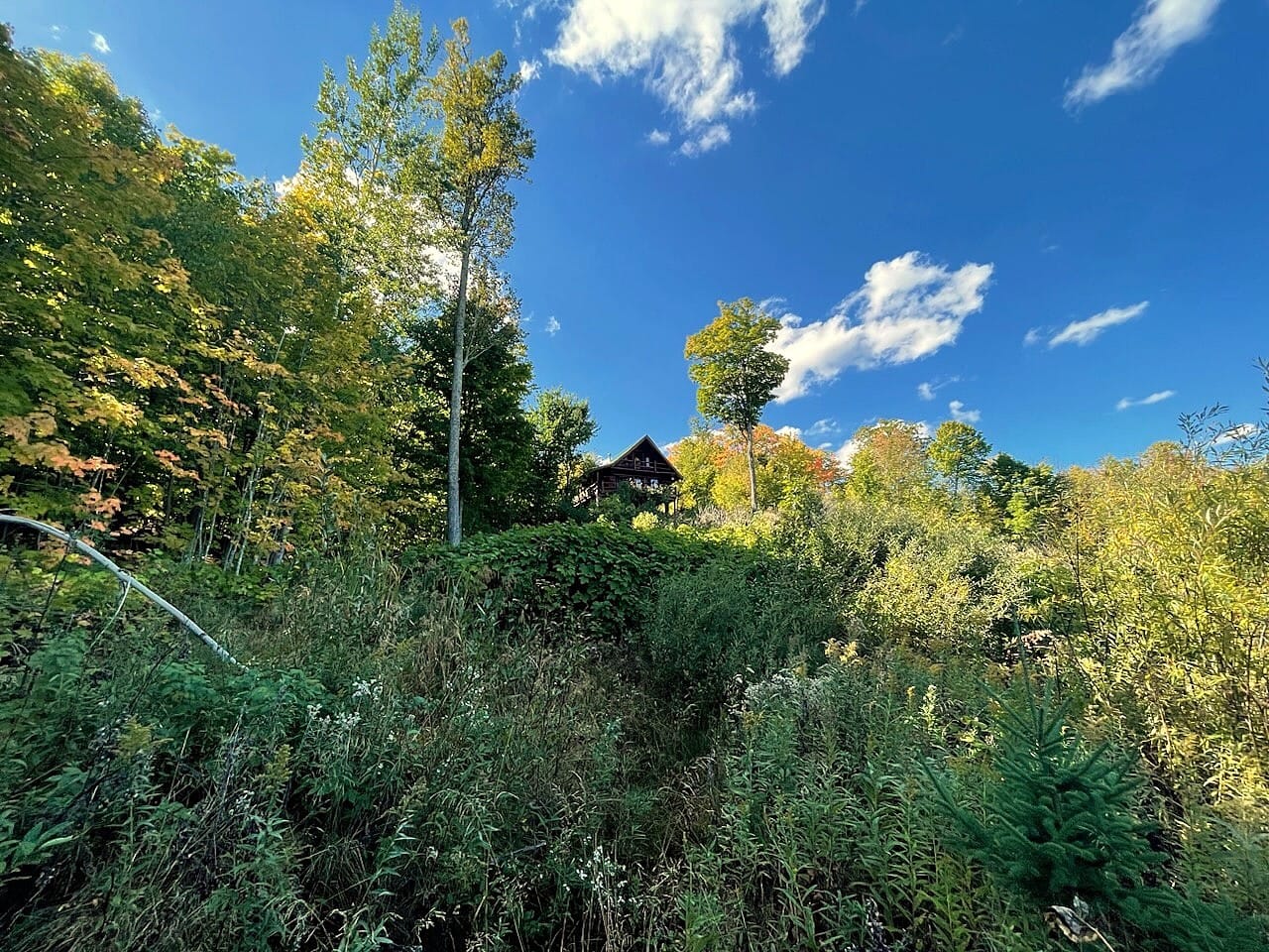 Listing Image 16