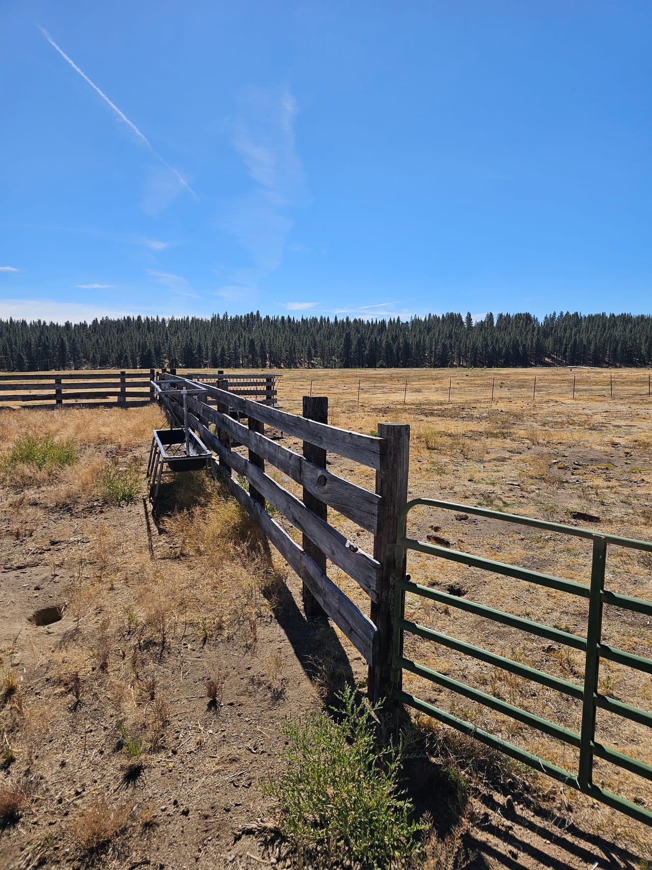Listing Image 51