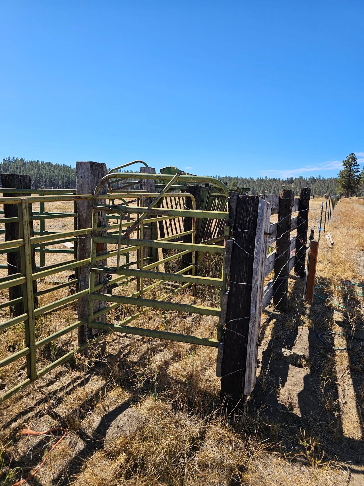 Listing Image 55