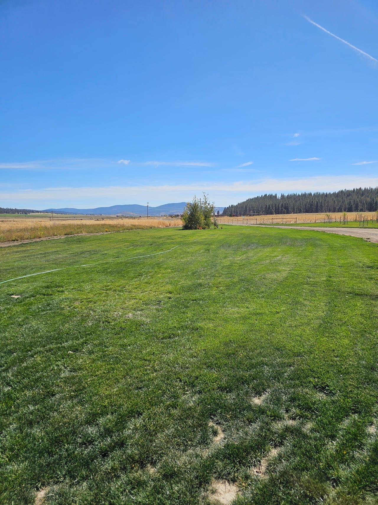Listing Image 57